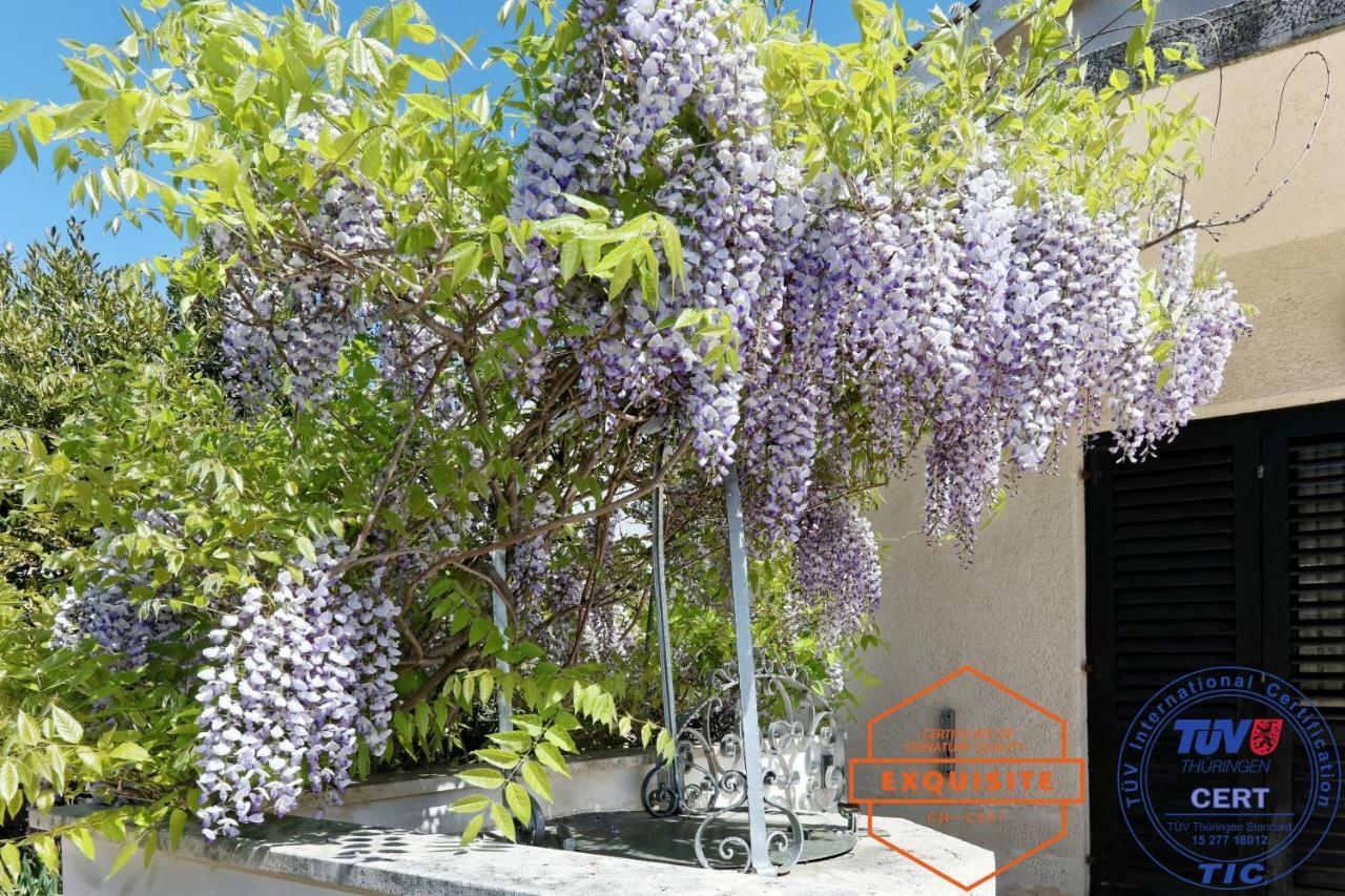 Villa Kovach 크르크 외부 사진